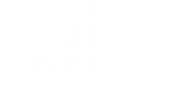 Logo partenaire Corsair
